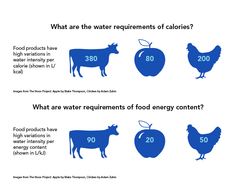 Your Water Footprint