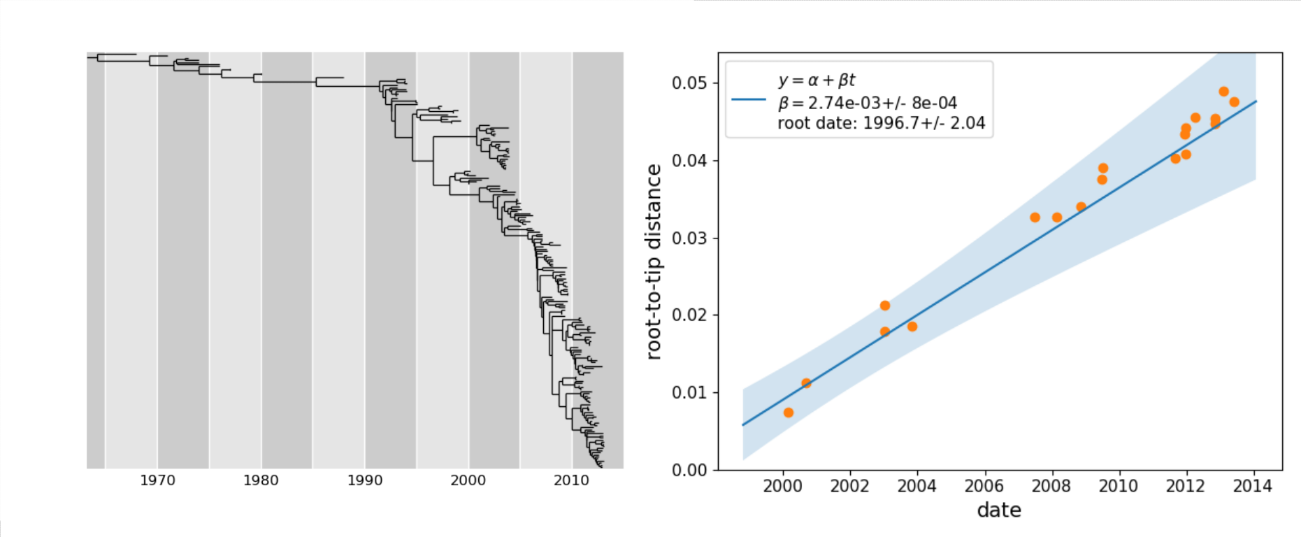 TreeTime timetree and ancestral sequence inference — TreeTime 0.11.1