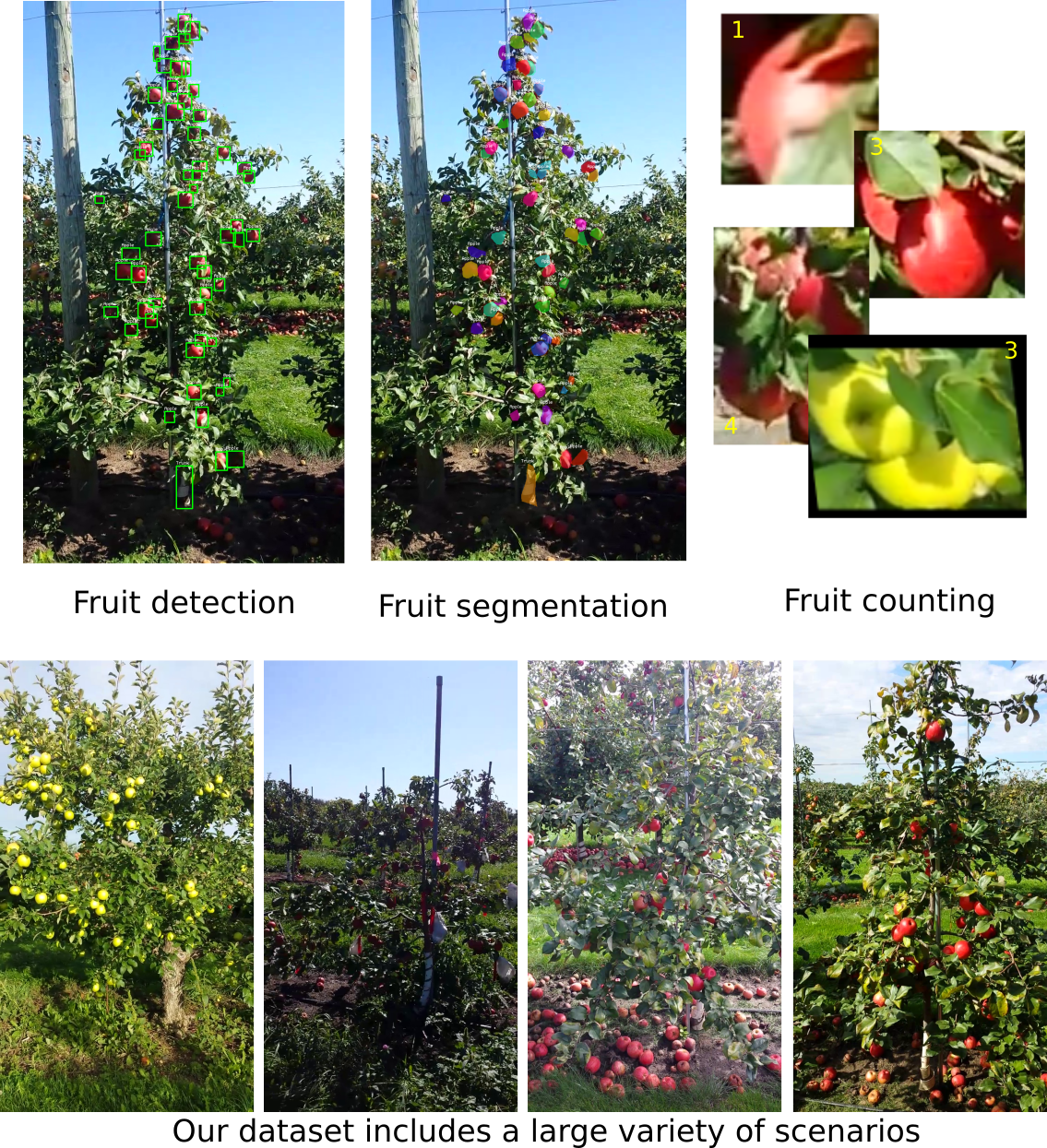 MinneApple Dataset AI牛丝