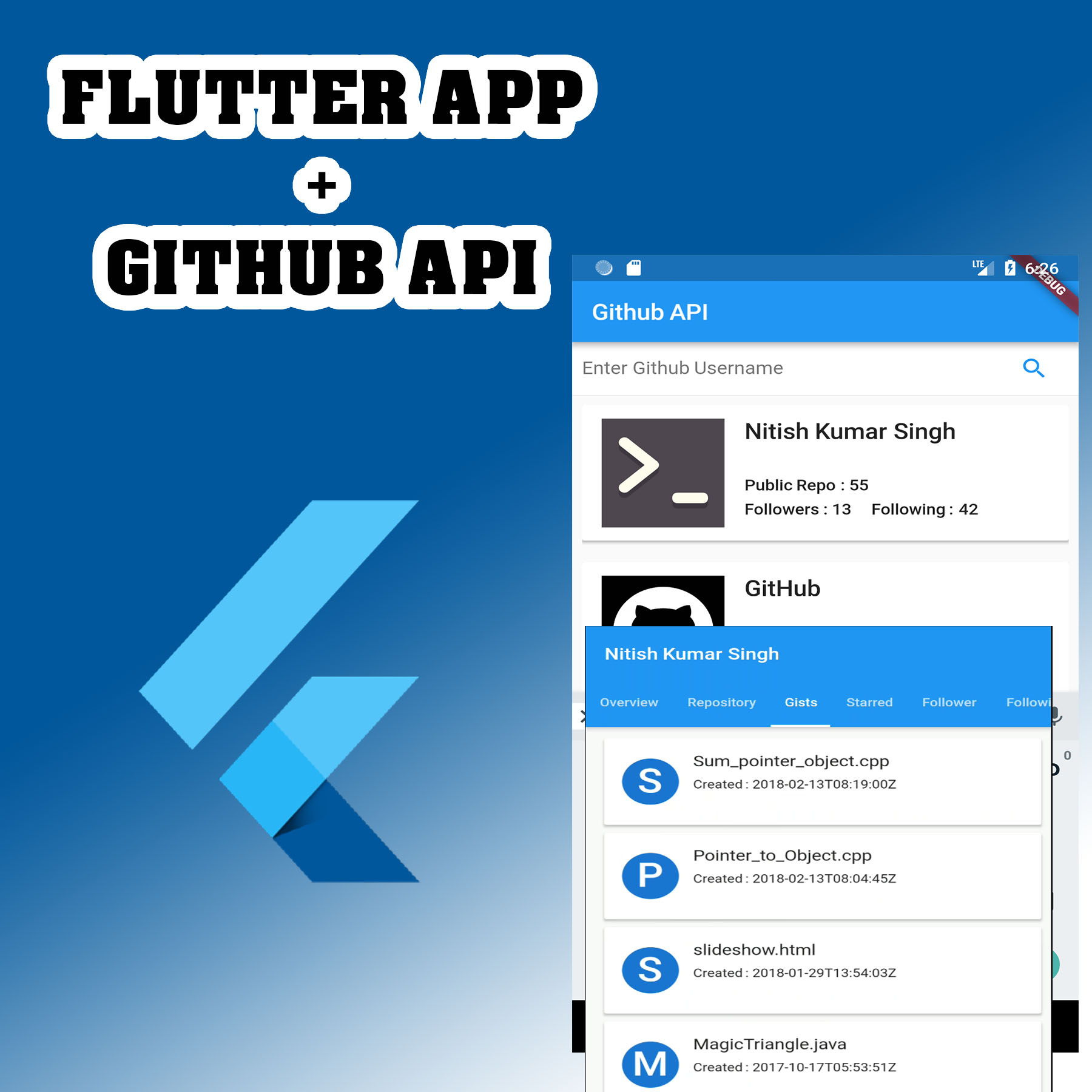 Flutter Github Api