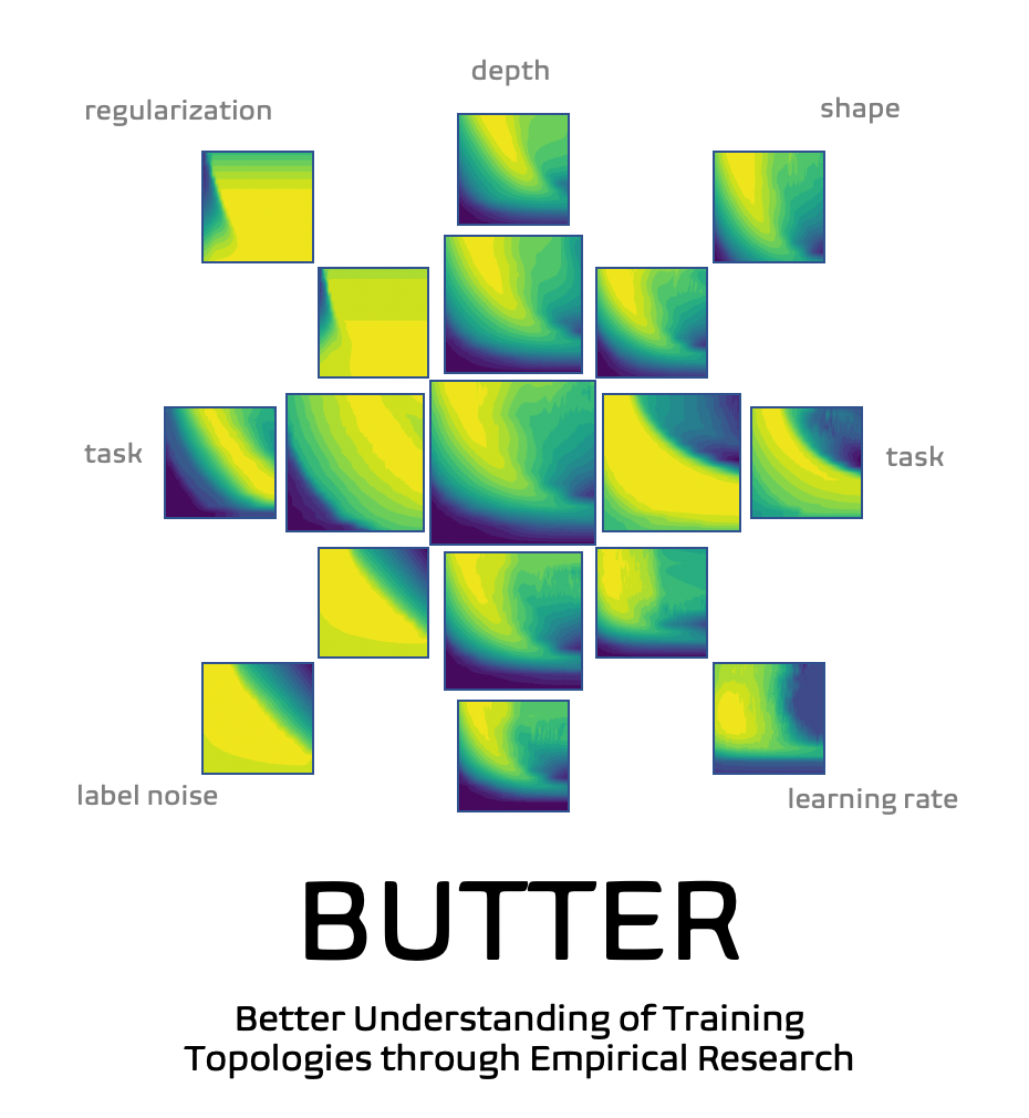 The BUTTER Zone An Empirical Study of Training Dynamics in Fully Connected Neural Networks