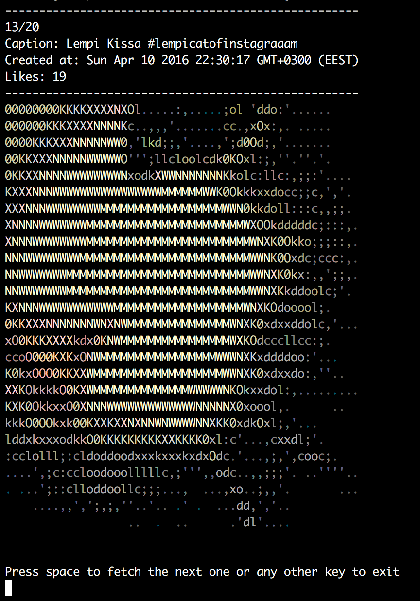 asciishot npm