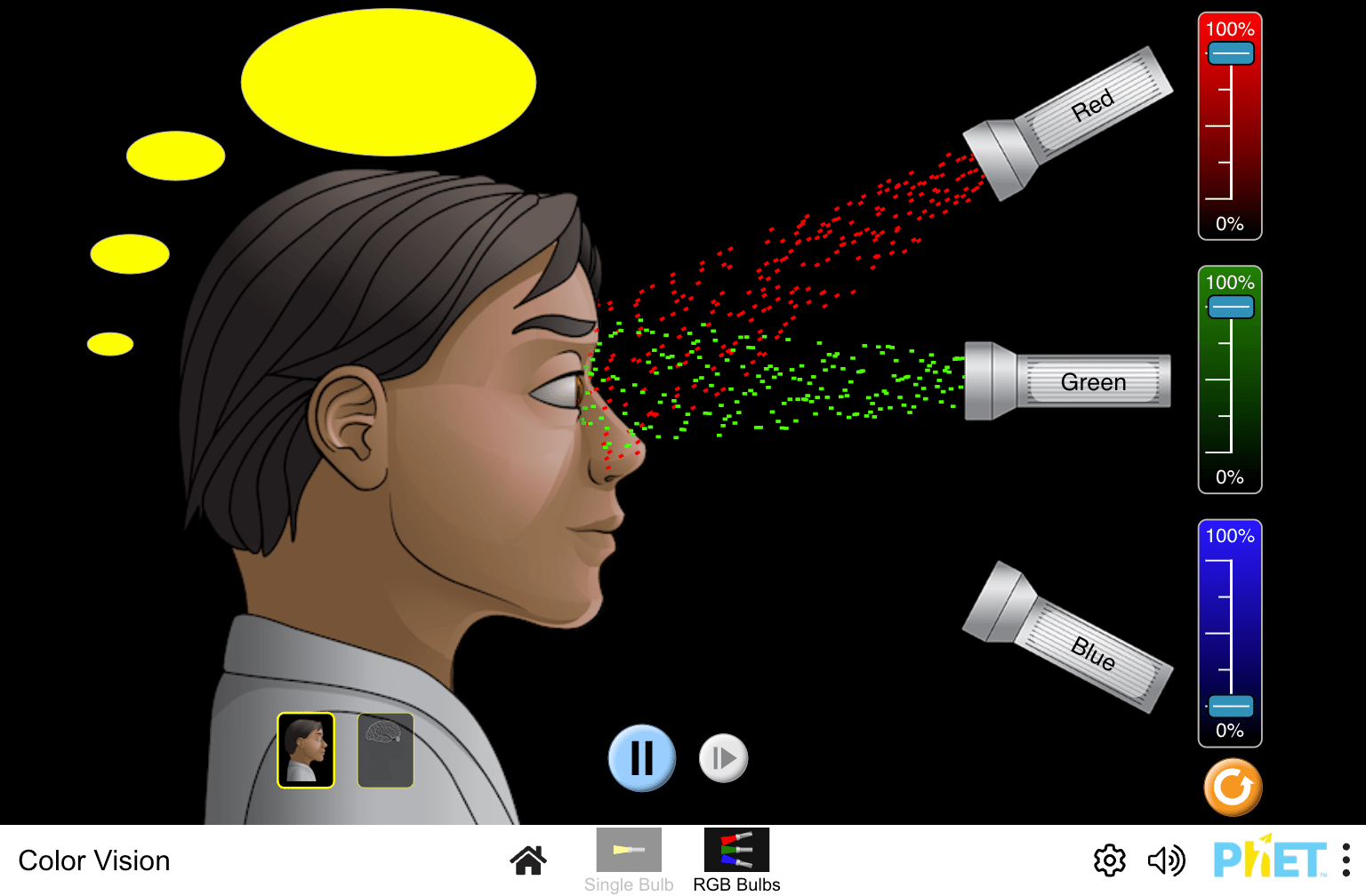Best color vision phet lab worksheet
