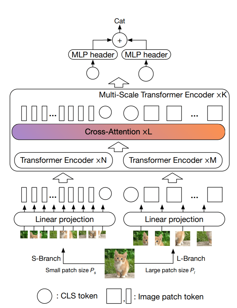 Crossvit Pytorch