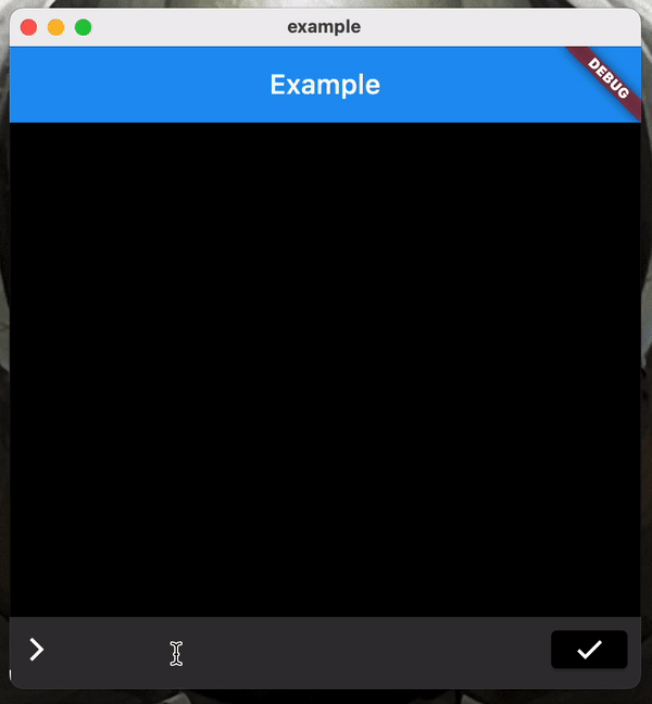 flutter_console_widget Flutter package