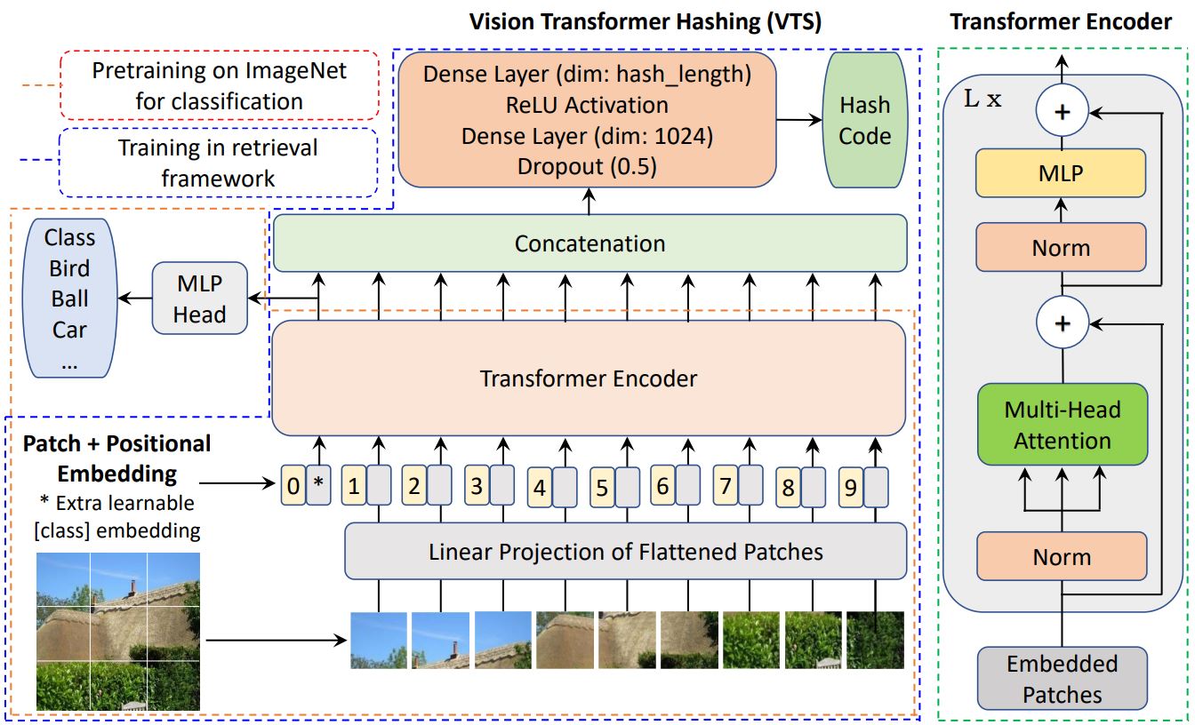 Vision Transformer Hashing for Image Retrieval Papers With Code