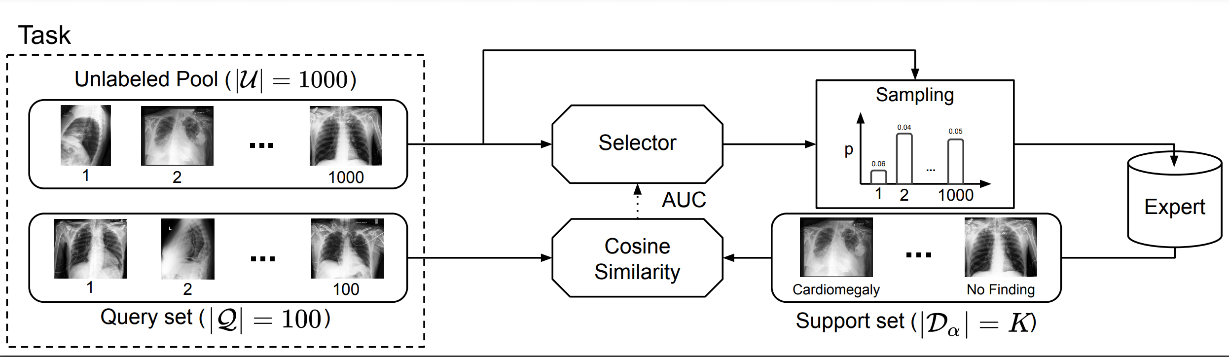 MedSelect Selective Labeling for Medical Image Classification