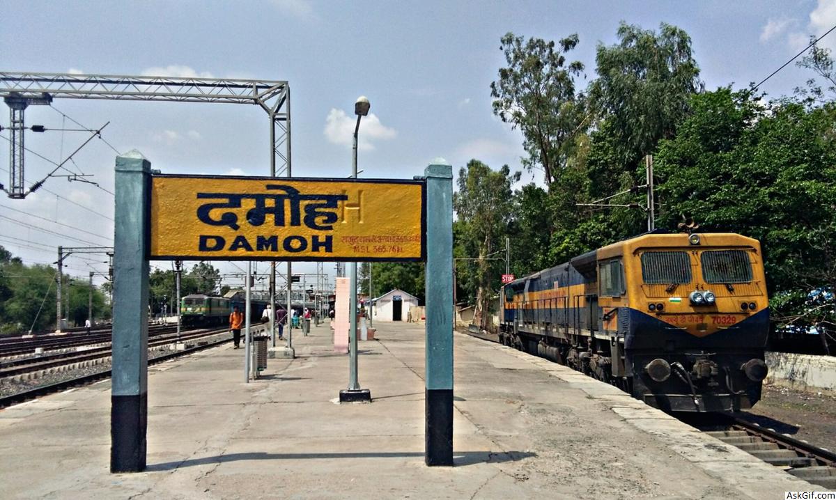 Top Places to visit in Damoh, Madhya Pradesh Blog Find Best Reads