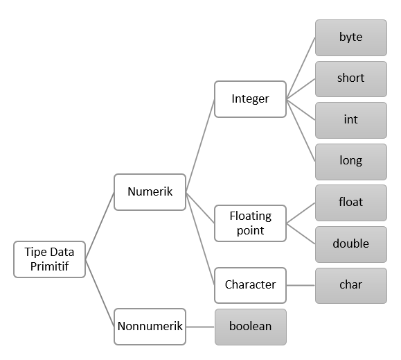 Pemrograman Fundamental: Data, Variabel dan Tipe Data