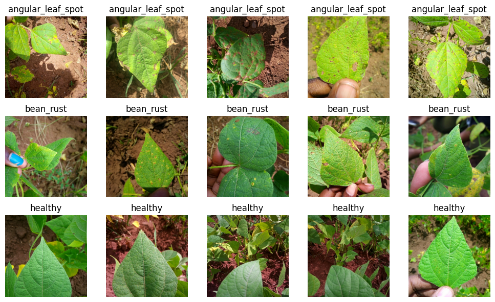GitHub trizkynoviandy/beanleafclassification Beans leaf dataset
