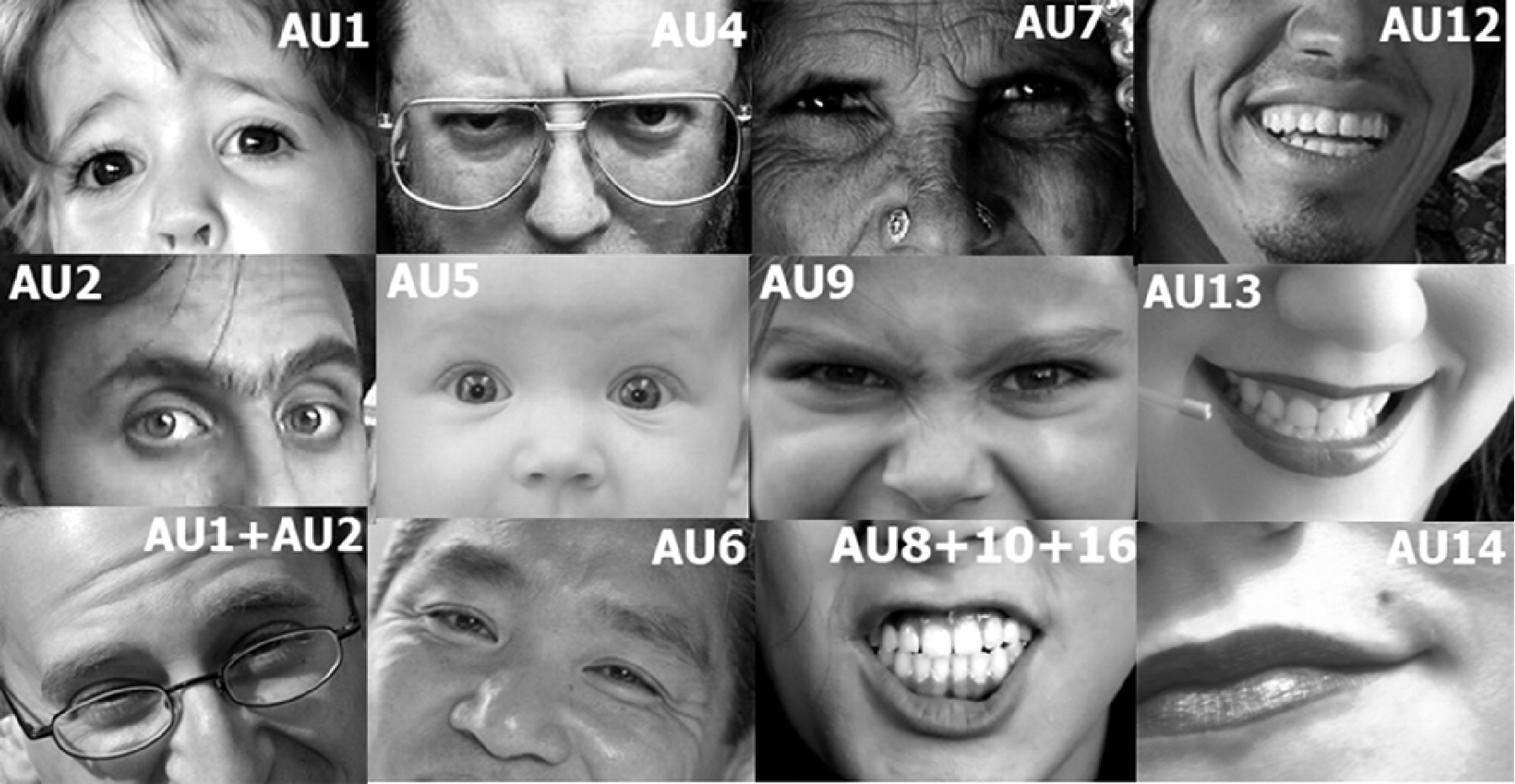 Action Units · TadasBaltrusaitis/OpenFace Wiki · GitHub