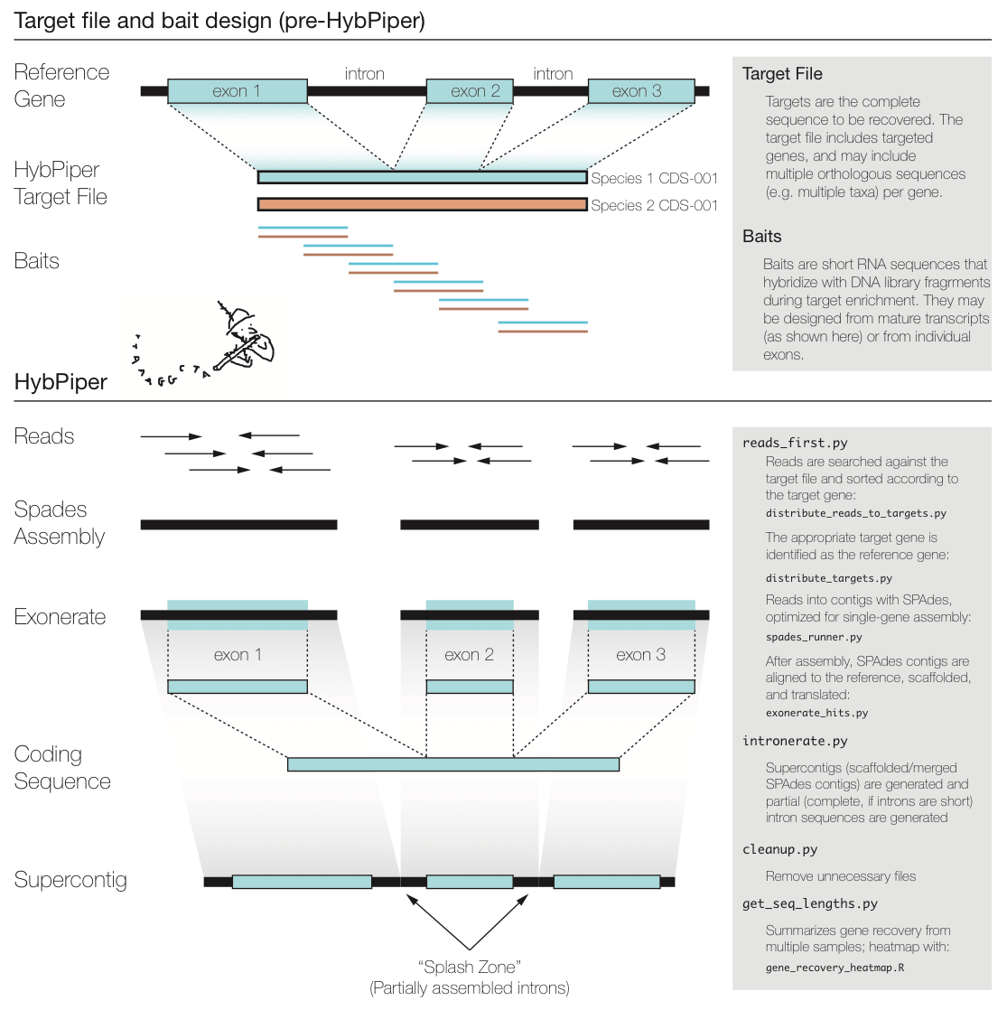 Home · mossmatters/HybPiper Wiki · GitHub