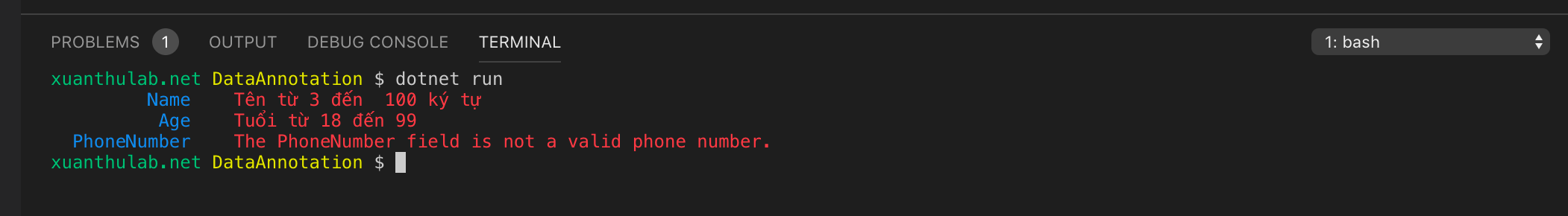 Sử dụng Attribute Annotation trong lập trình C CSharp