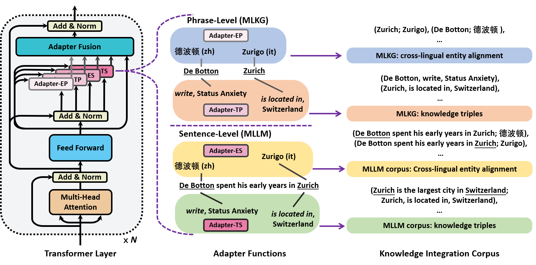 Adapters for Enhanced Modeling of Multilingual Knowledge and Text