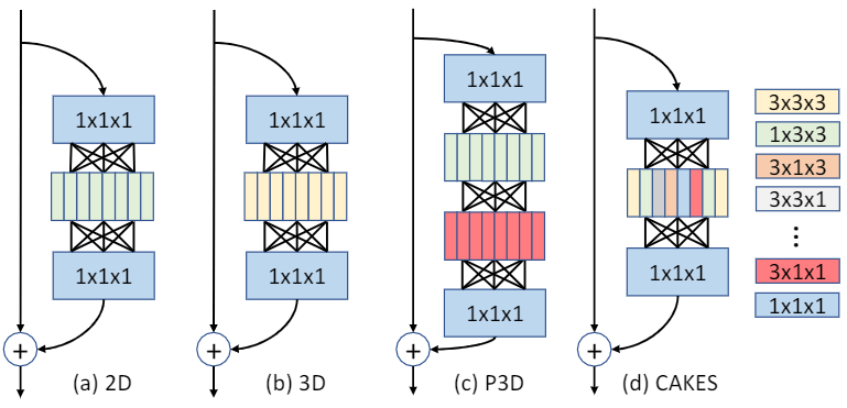 CAKES Channelwise Automatic KErnel Shrinking for Efficient 3D