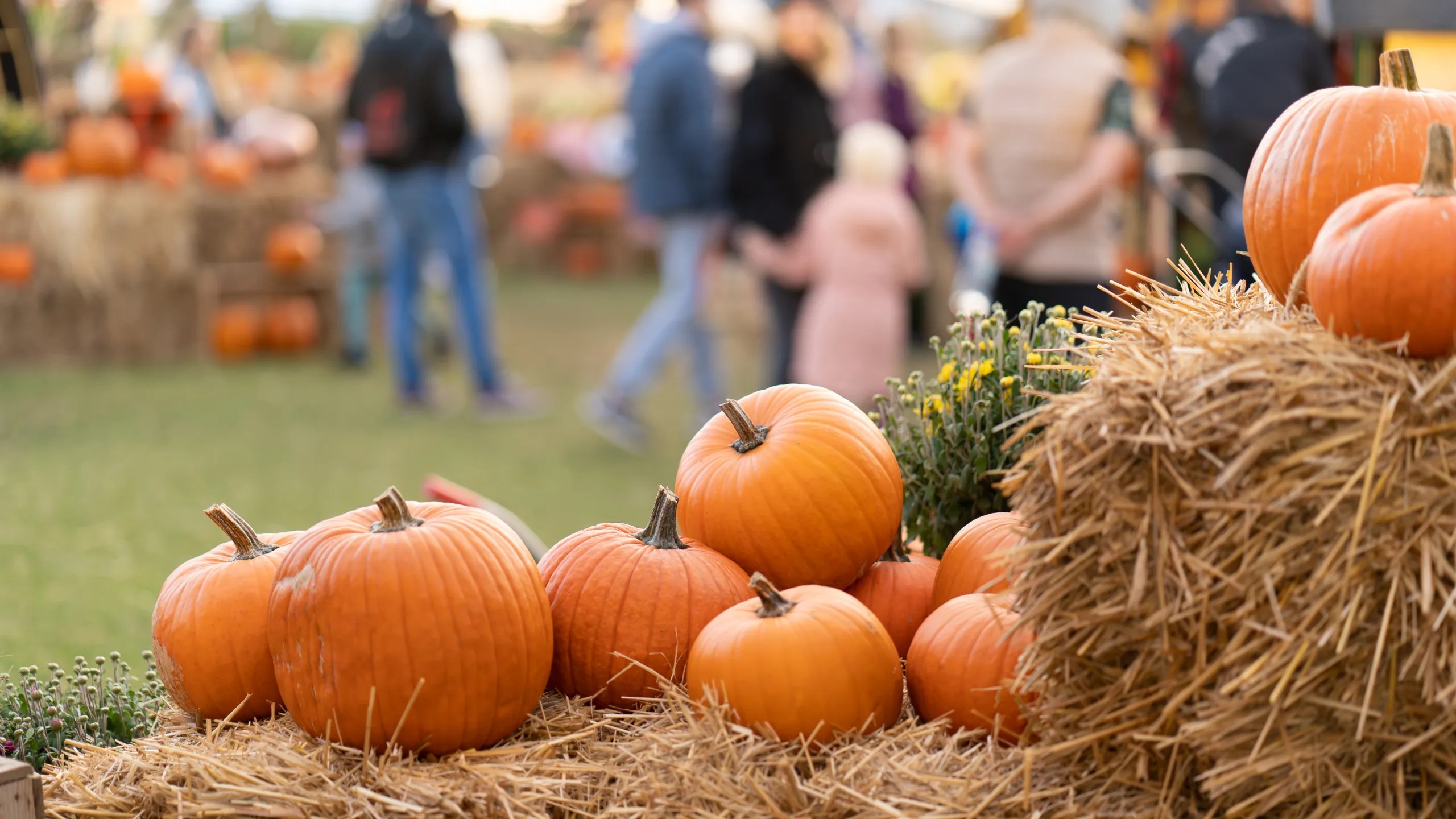 fall festivals near me 2026 Top Fall Events in Detroit to Enjoy This October RAW Detroit