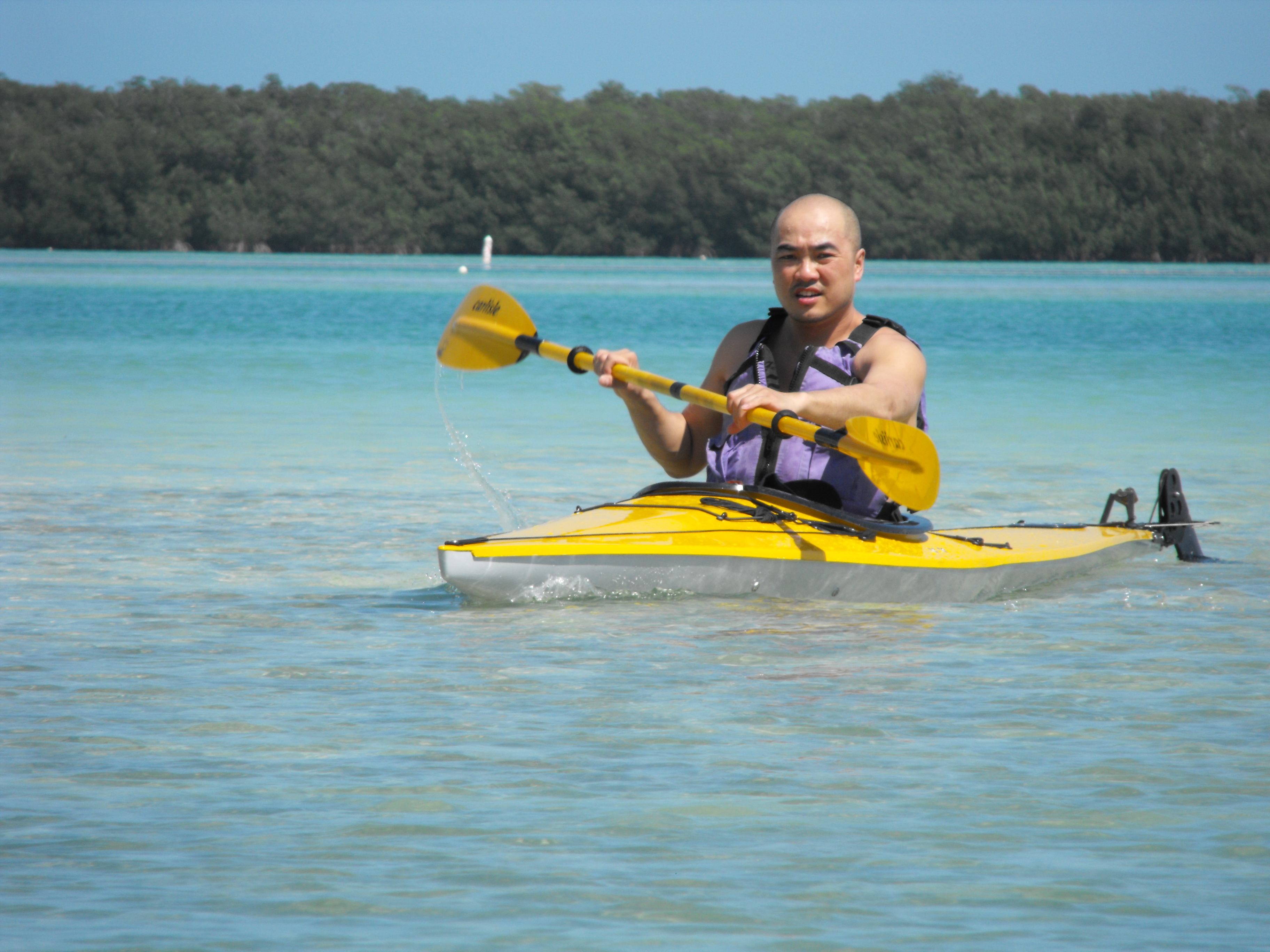 Picture Gallery 2 ; scroll down