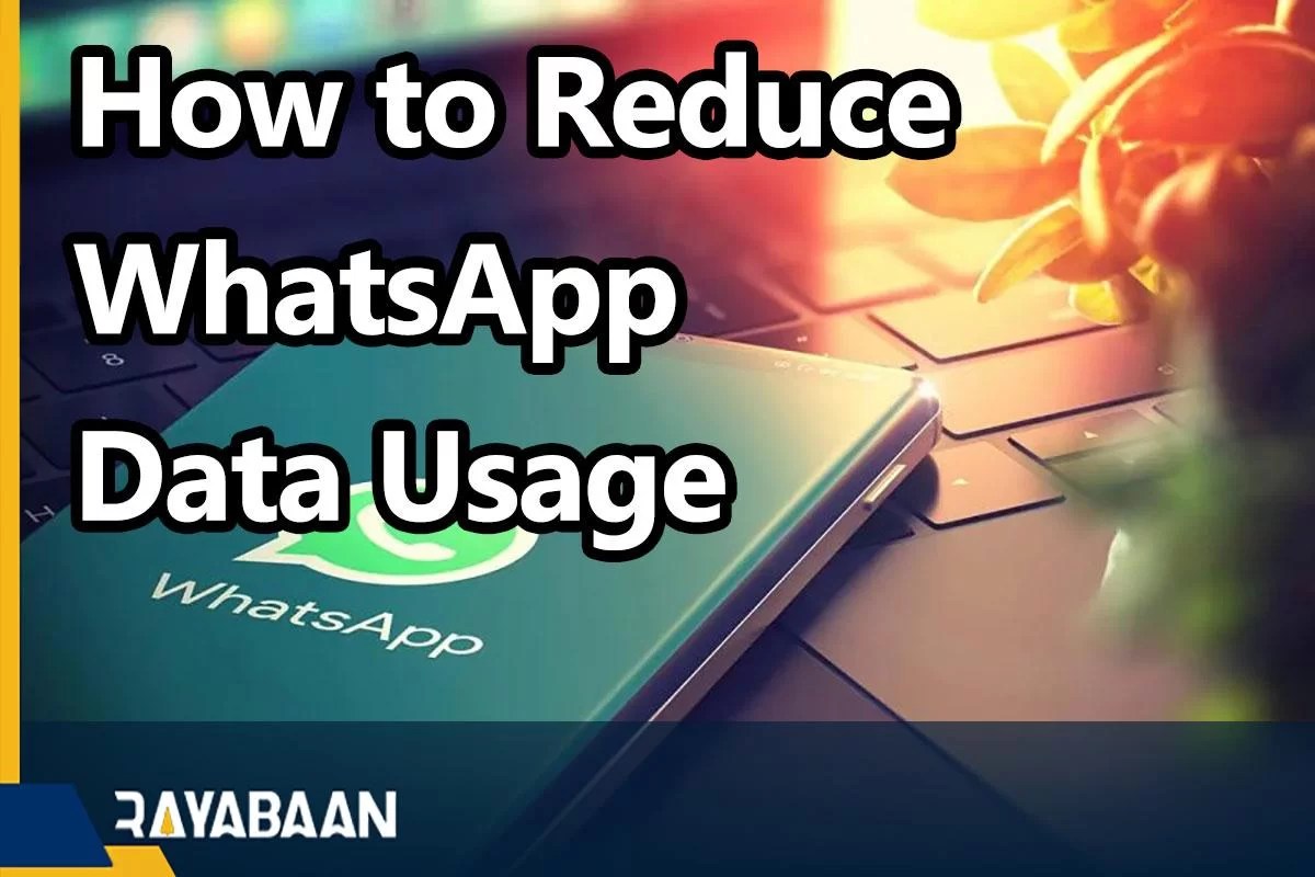 How To Reduce WhatsApp Data Usage 2023 Rayabaan