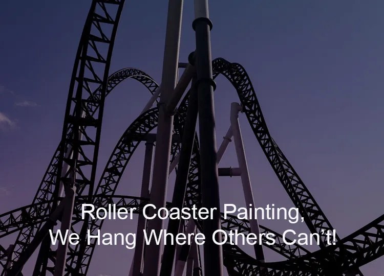Roller Coaster Painting Contractor RayAccess, Inc.