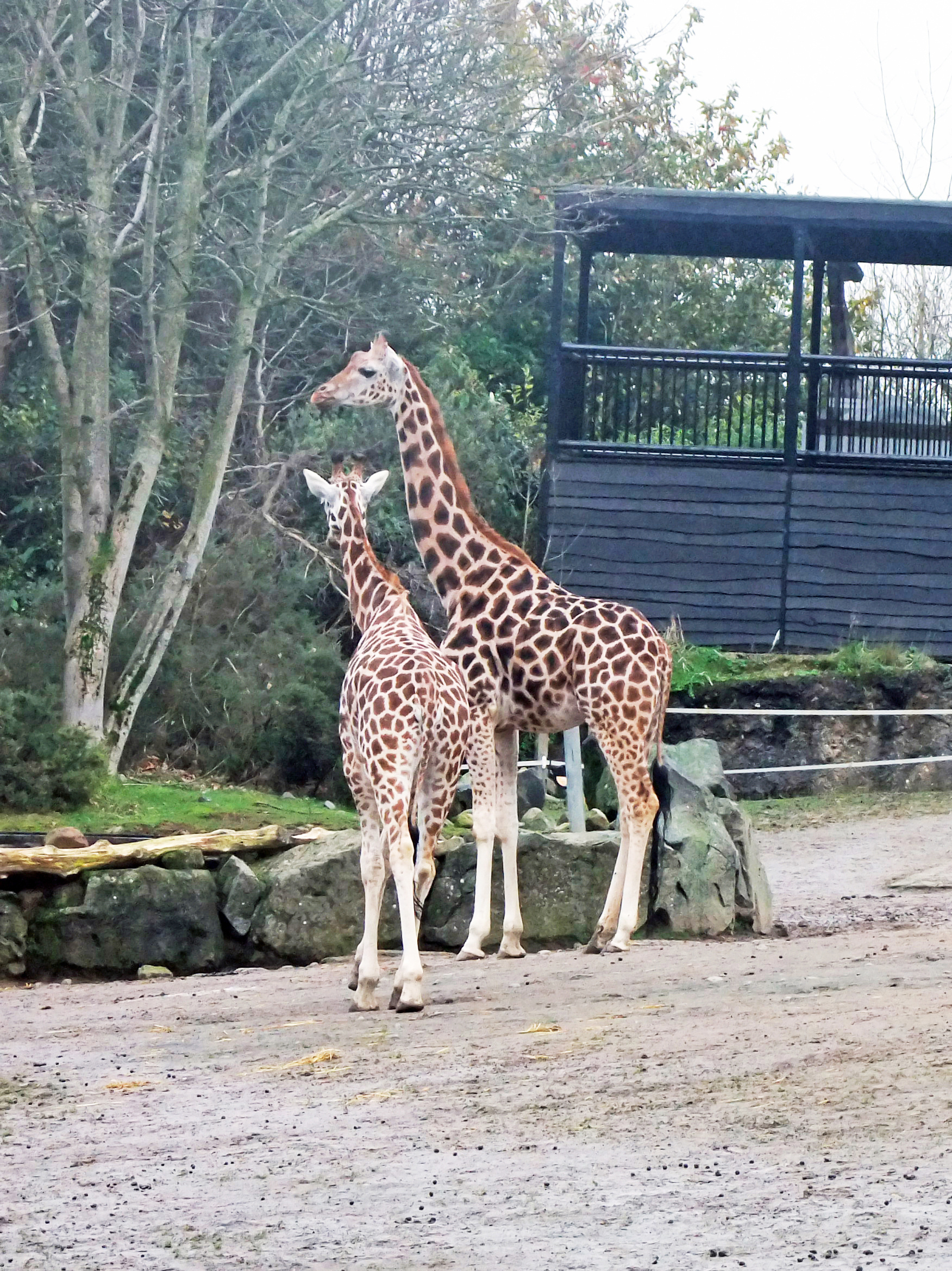 Explore Northern Ireland Rayanne House