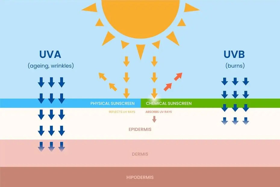 XRays vs UV Rays Understanding the Difference Between XRay and