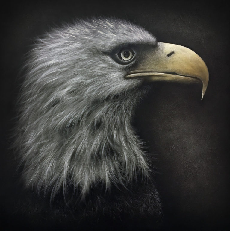 Colin Banks artist extraordinaire Ray Brown Wildlife Photography Ray Brown Wildlife