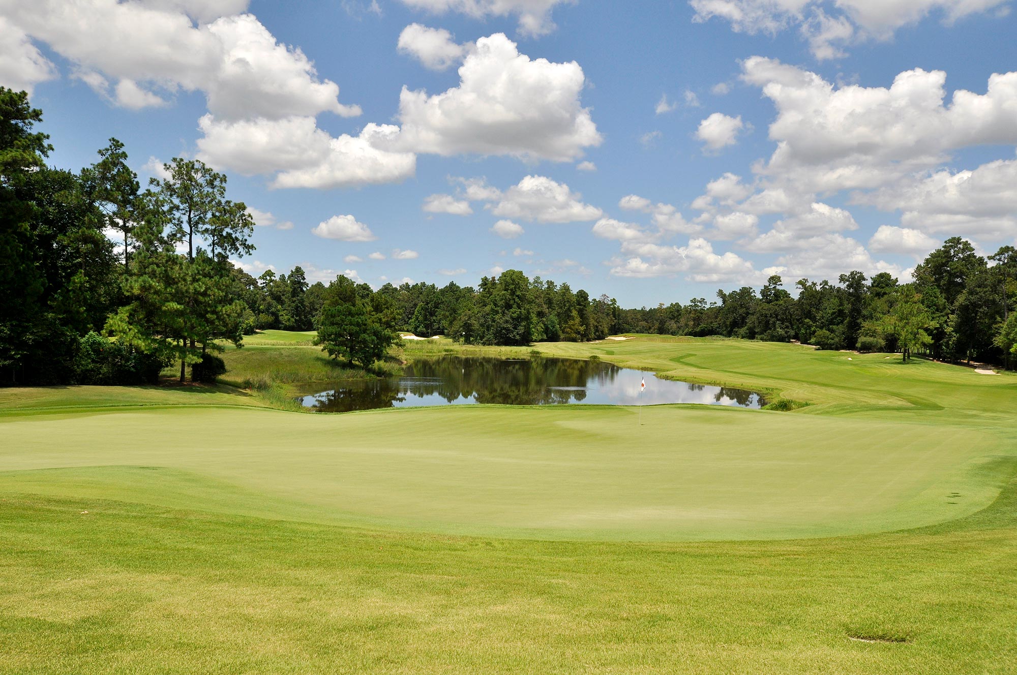 Best Real Estate in The Woodlands Ray Larson Real Estate Group