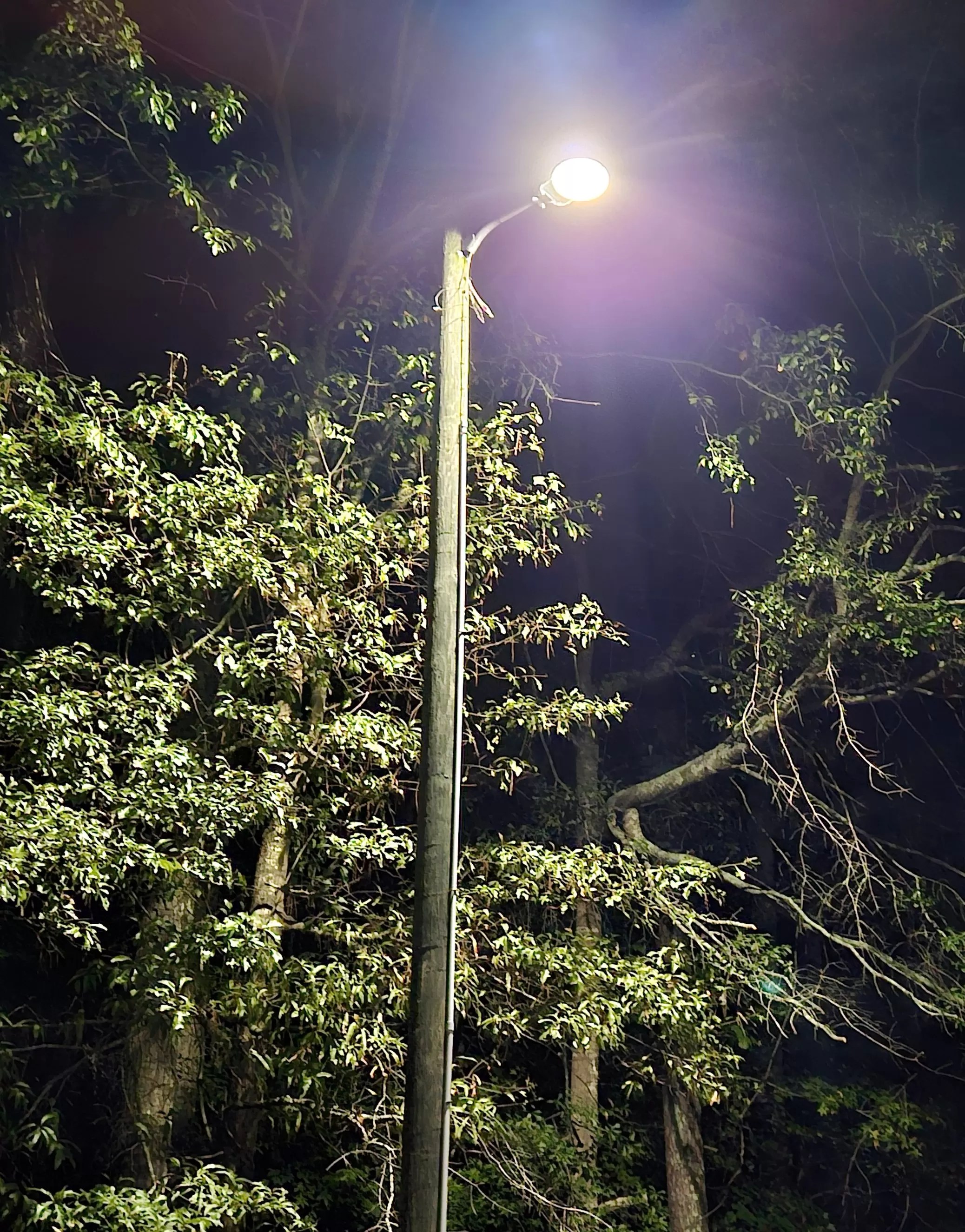 Security Lighting Rayle EMC