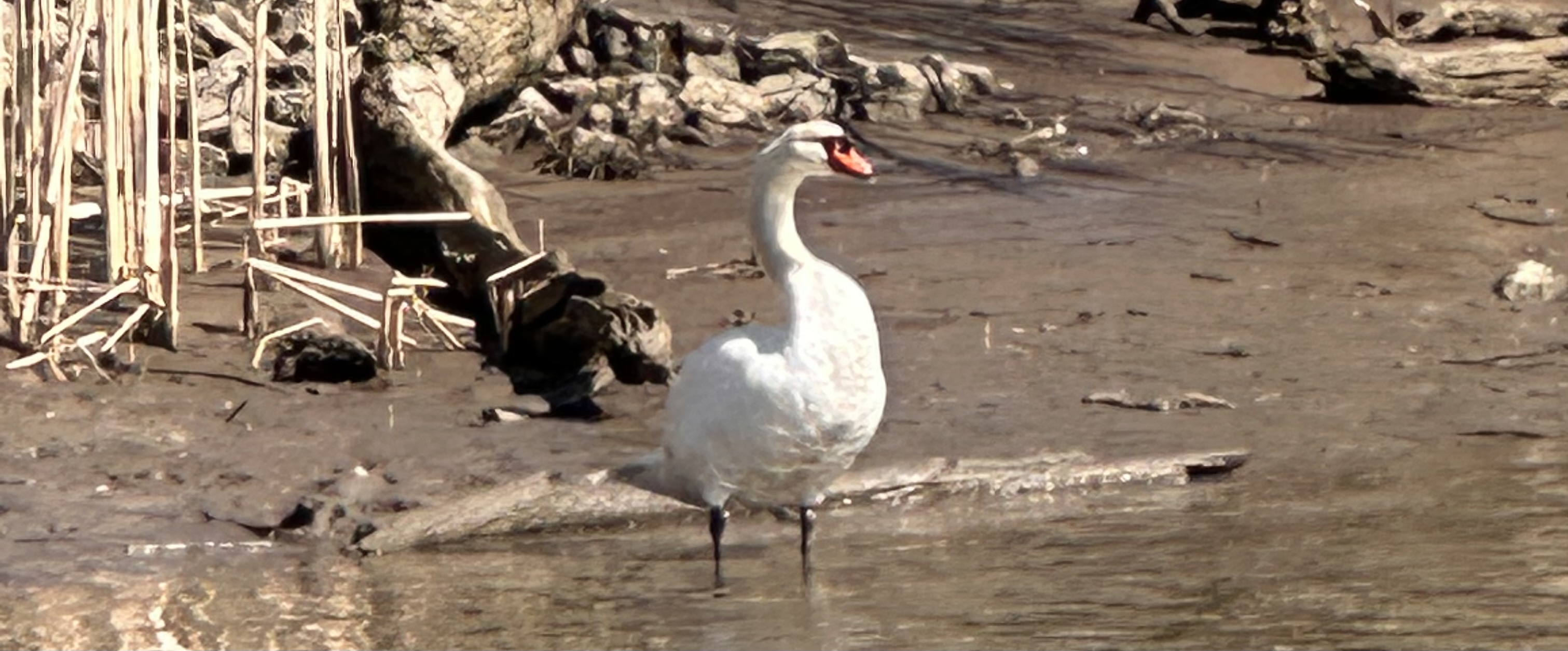 Home Raymond E. Bond Funeral Home Valatie NY