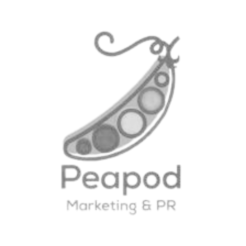 Our Partners RAYNE IX Executive Leadership Consultancy