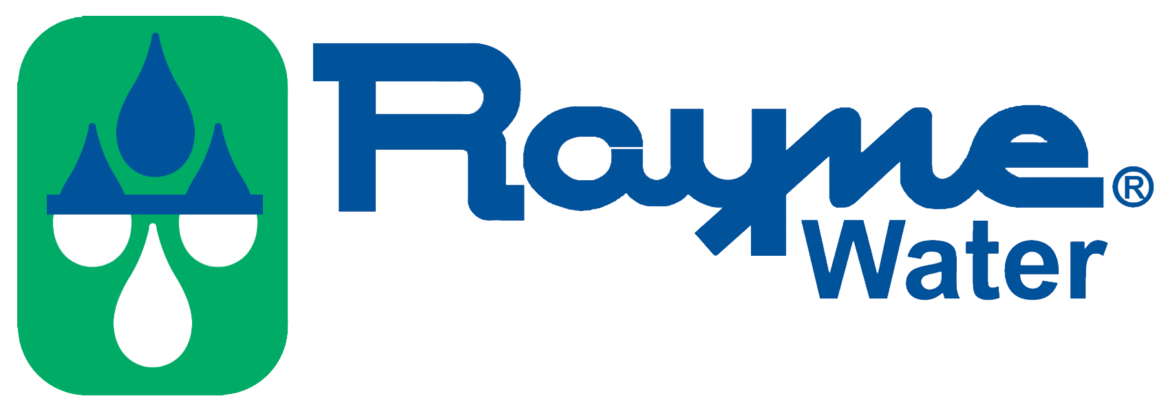Rayne logo on Website Rayne of Santa Maria
