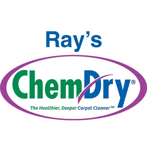 Carpet Cleaning Paris TN Carpet Cleaners