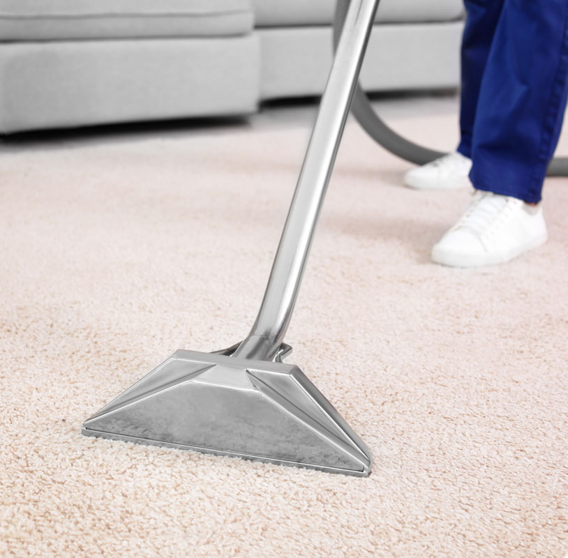 Carpet Cleaning Raysco, Inc.