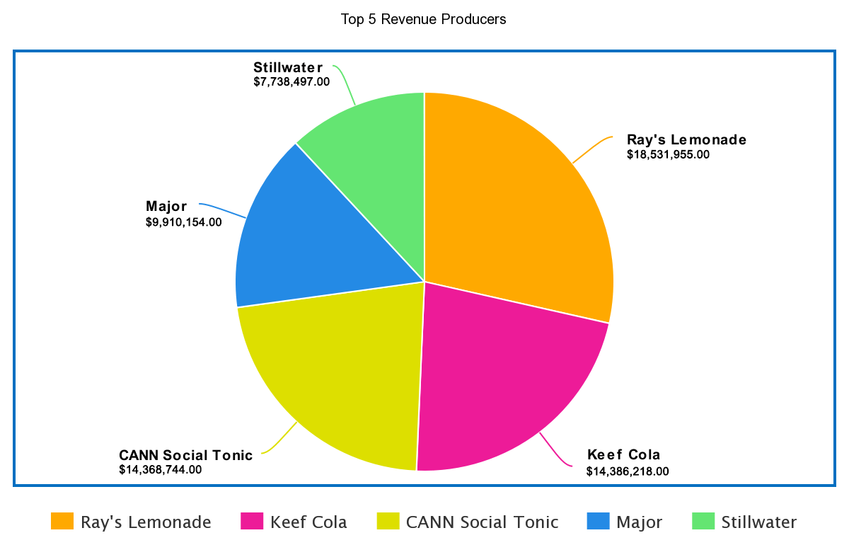 2022 Annual BOAST Report Ray's Lemonade