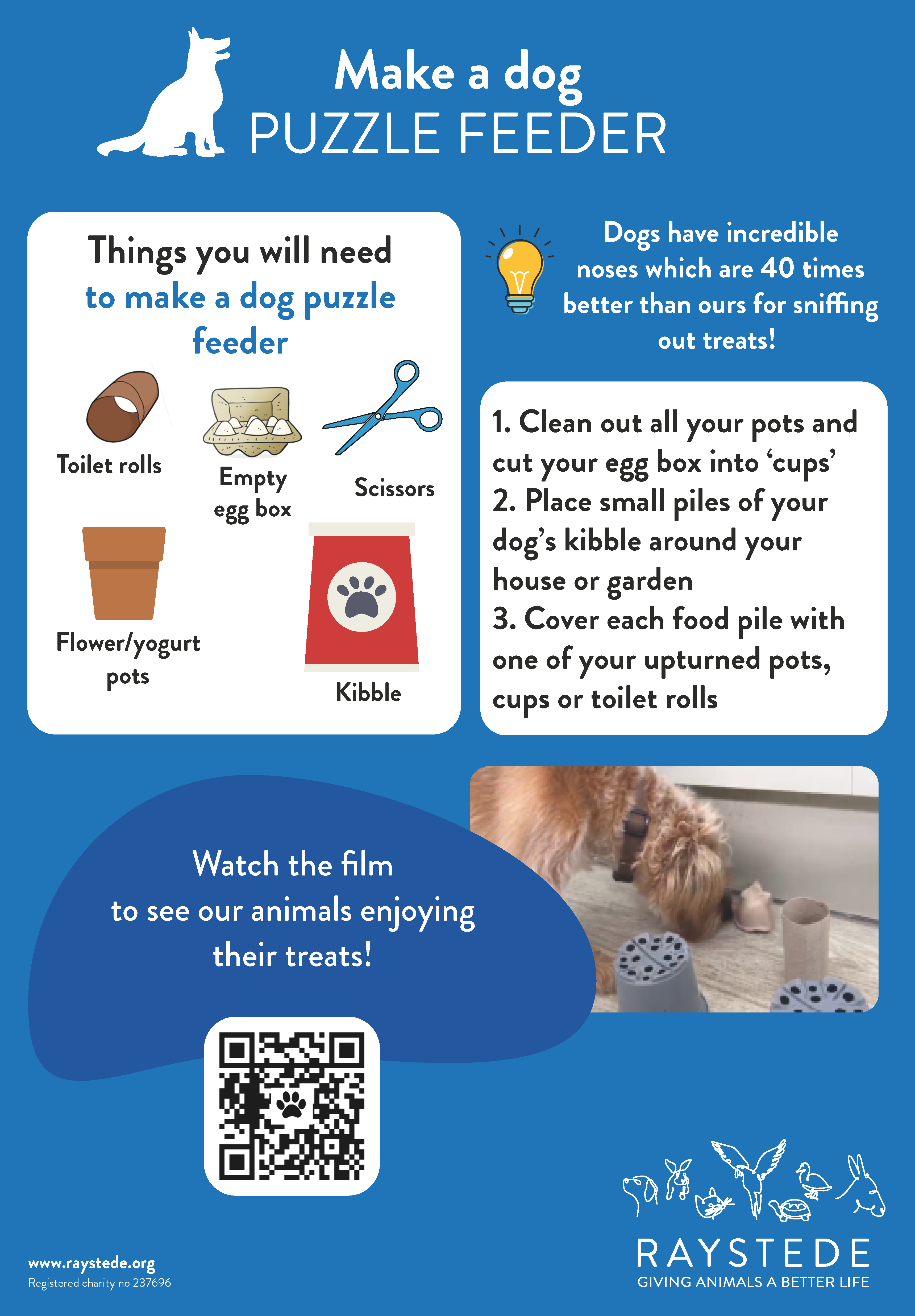 Make a puzzle feeder for your pet Raystede Centre for Animal Welfare