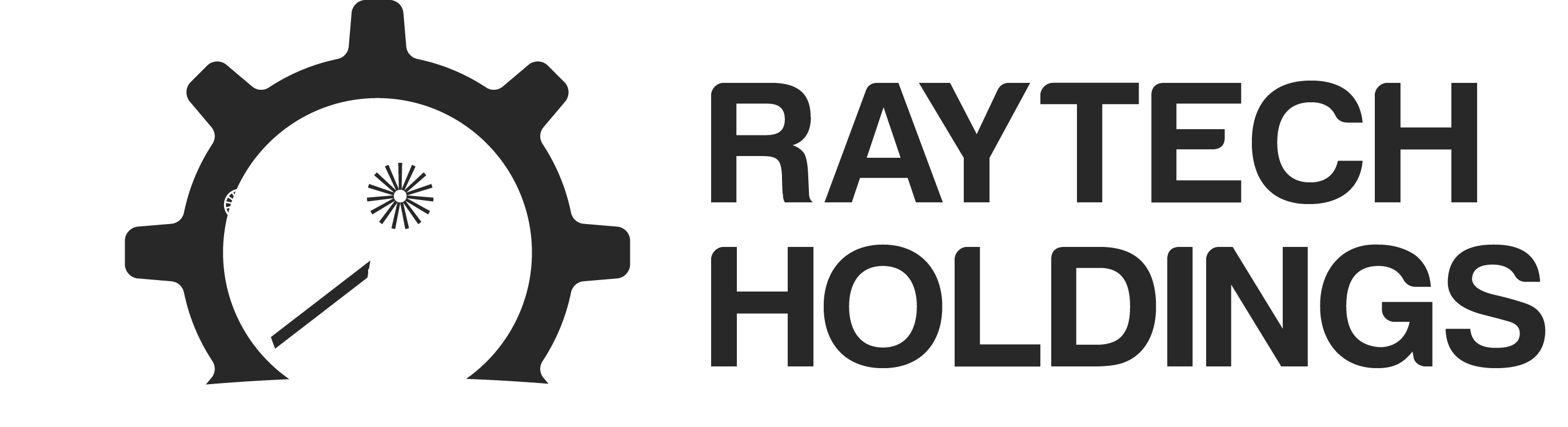 Home Raytech Holdings