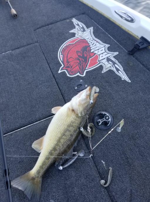 Lake Oroville Fishing Report by Mike Rogers RB Bass Fishing