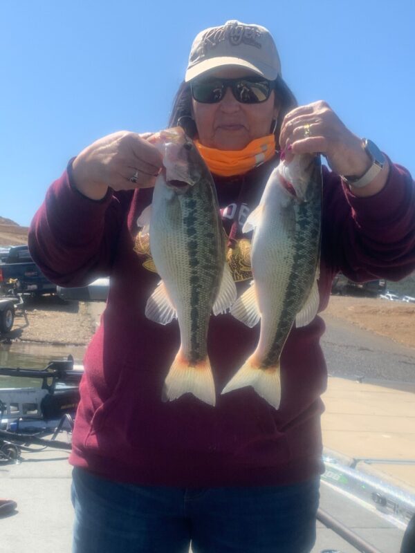 Lake Shasta Fishing Report by Matt Atkins Guide Service RB Bass Fishing