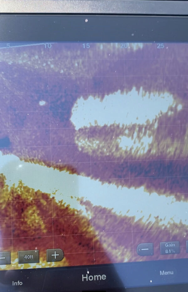 Lake Tulloch Fishing Report by Travis Williams RB Bass Fishing