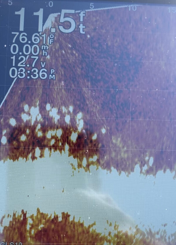 Lake Tulloch Fishing Report by Travis Williams RB Bass Fishing