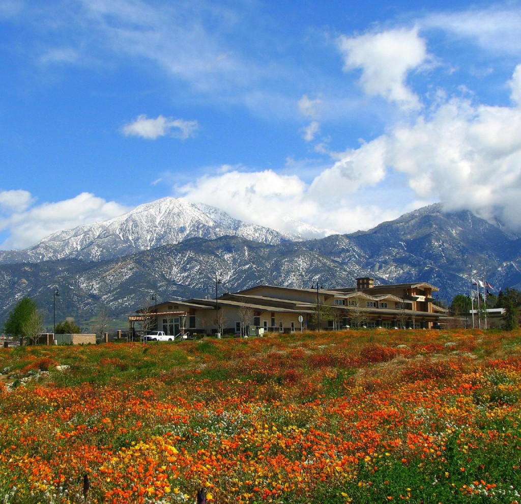Yucaipa CA RBC Custom House Builder and Architect