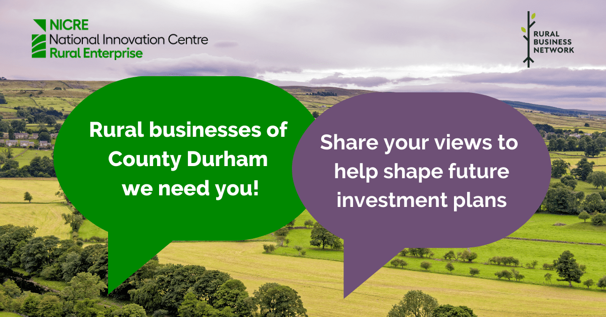 Help shape future investment plans for rural County Durham Rural