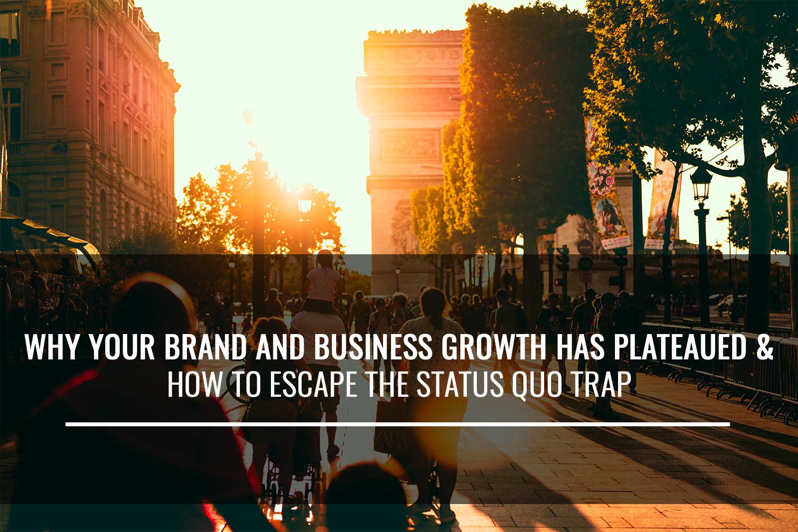 Why your brand and business growth has plateaued and how to escape the