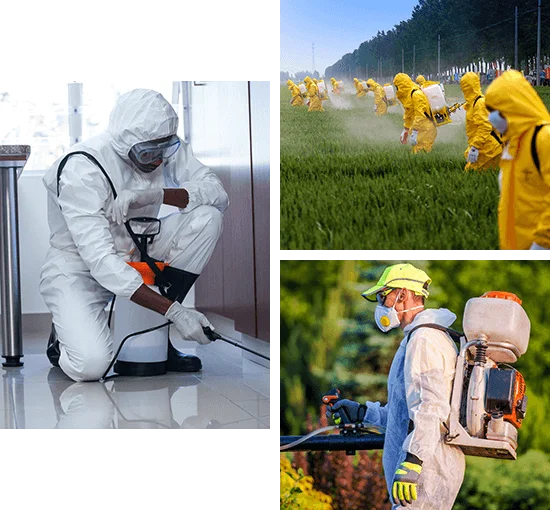 Home R.B Pest Control