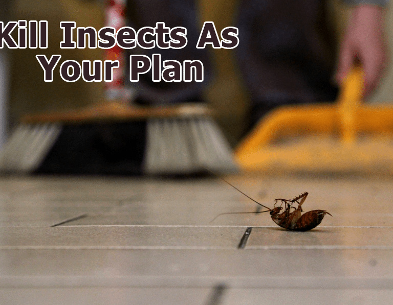 Custom Spray Services RB Pest Control Bd