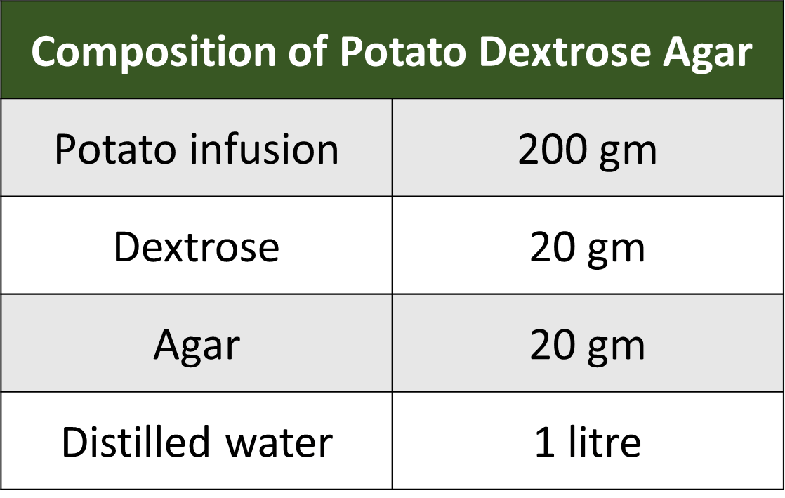 Potato Dextrose Agar (PDA) Media RBR Life Science