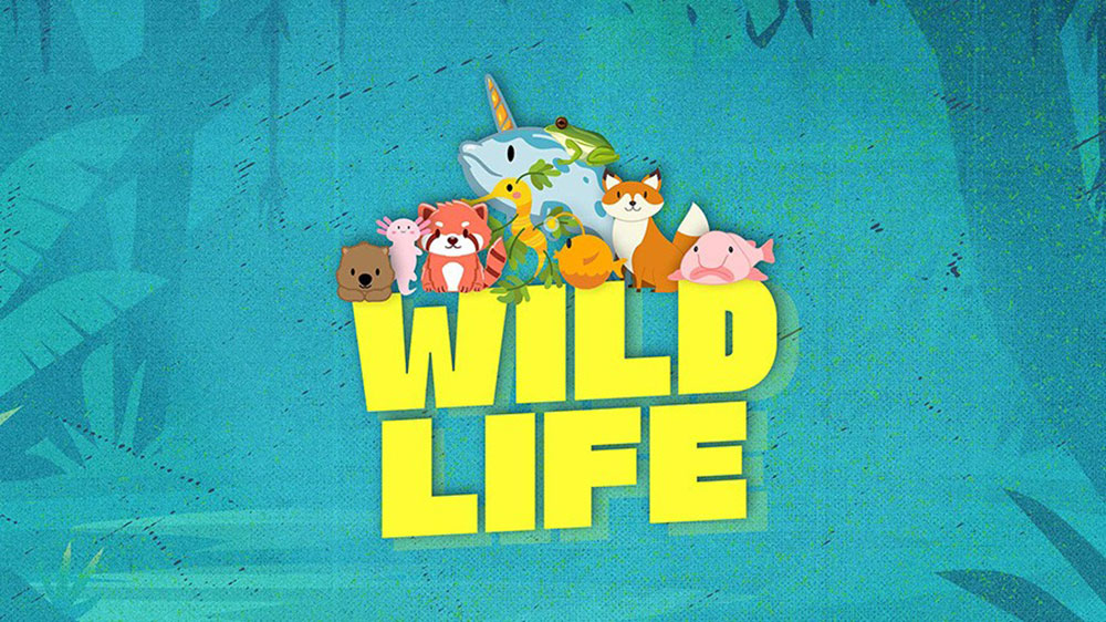 VBS Wild Life Red Bank United Methodist Church