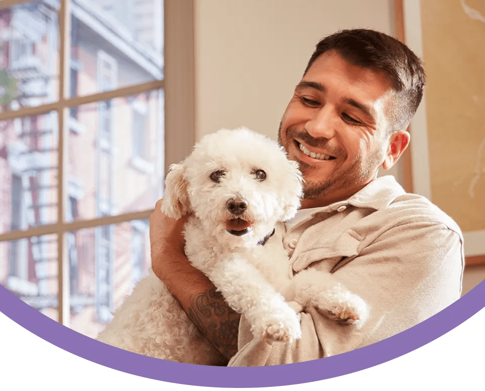 Pet Insurance Top Rated Pet Health Insurance Embrace