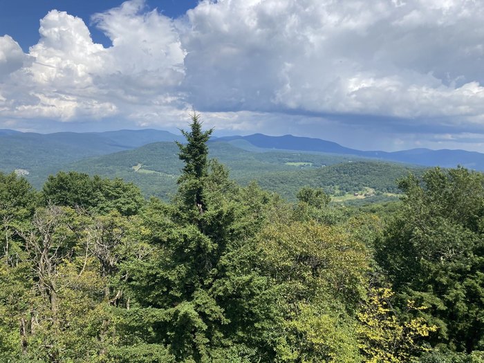 Tesla Planning Vehicle Parts Distribution Center In Newburgh; Orange