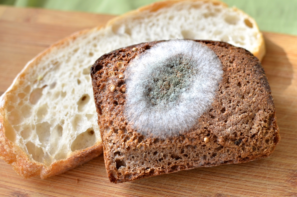 4 Alimentos que puedes tomar aunque tengan algo de moho y 8 que nunca